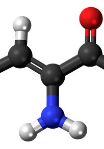 Metabolismus